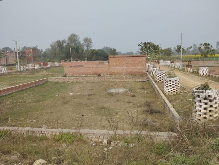 WhatsApp Image 2026-01-04 at 14.30.05