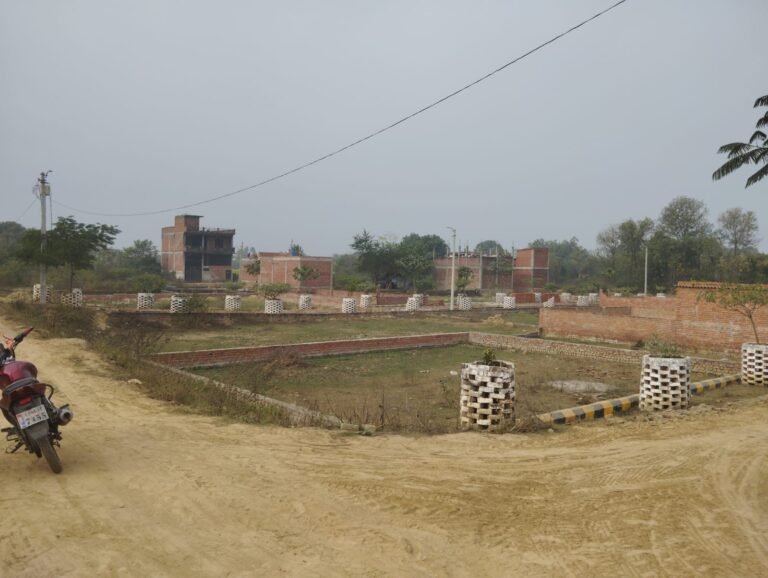 WhatsApp Image 2026-01-04 at 14.31.36