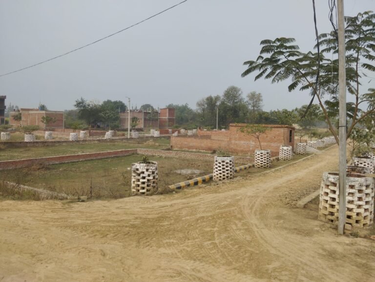 WhatsApp Image 2026-01-04 at 14.31.37