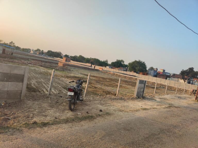 WhatsApp Image 2026-01-17 at 17.29.18 (5)