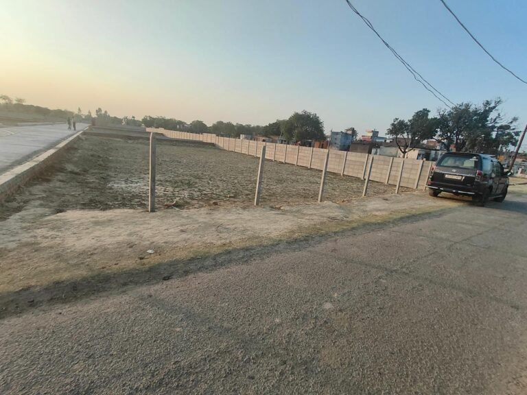 WhatsApp Image 2026-01-17 at 17.29.19 (3)